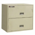 Sentry Safe Lateral Fire File 2L3010