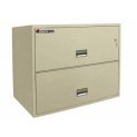 Sentry Safe Lateral Fire File 2L3610