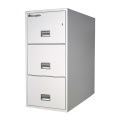 Sentry Safe Fire File 3G3110