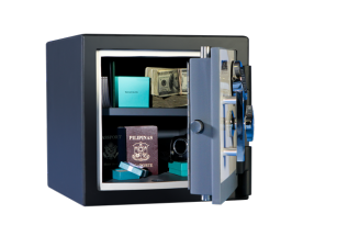 Original Enforcer Safe 1212