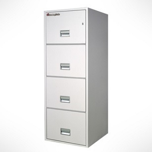 Sentry Safe Fire File 4G2500